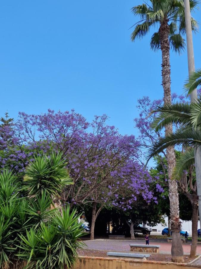 "Vero Vijola" In Torrevieja Buitenkant foto