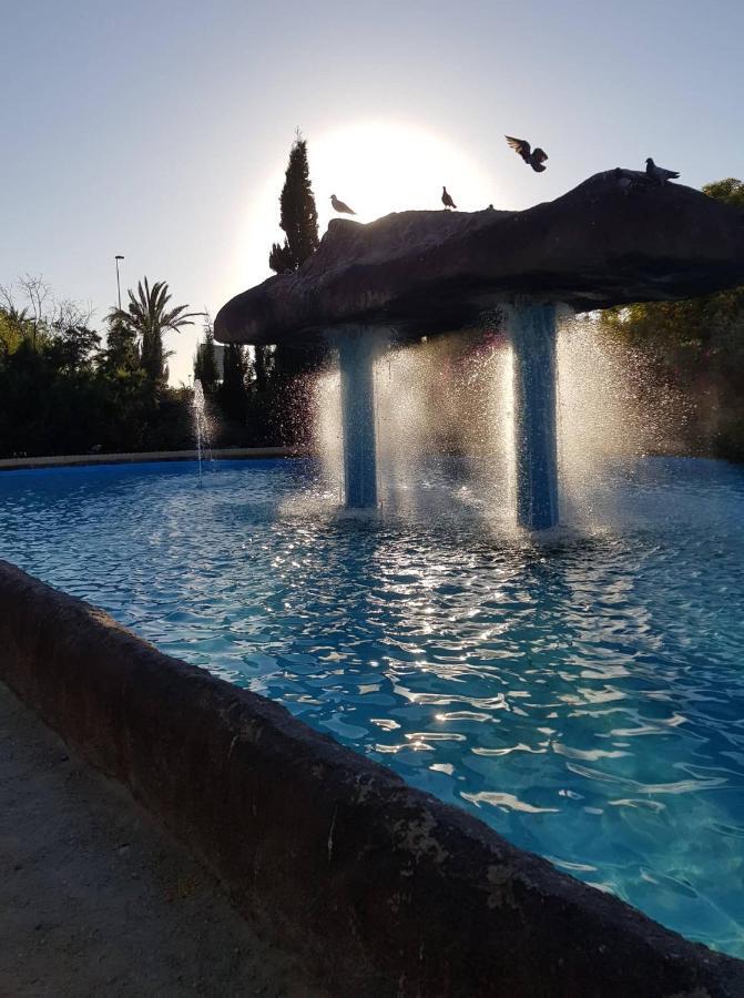 "Vero Vijola" In Torrevieja Buitenkant foto